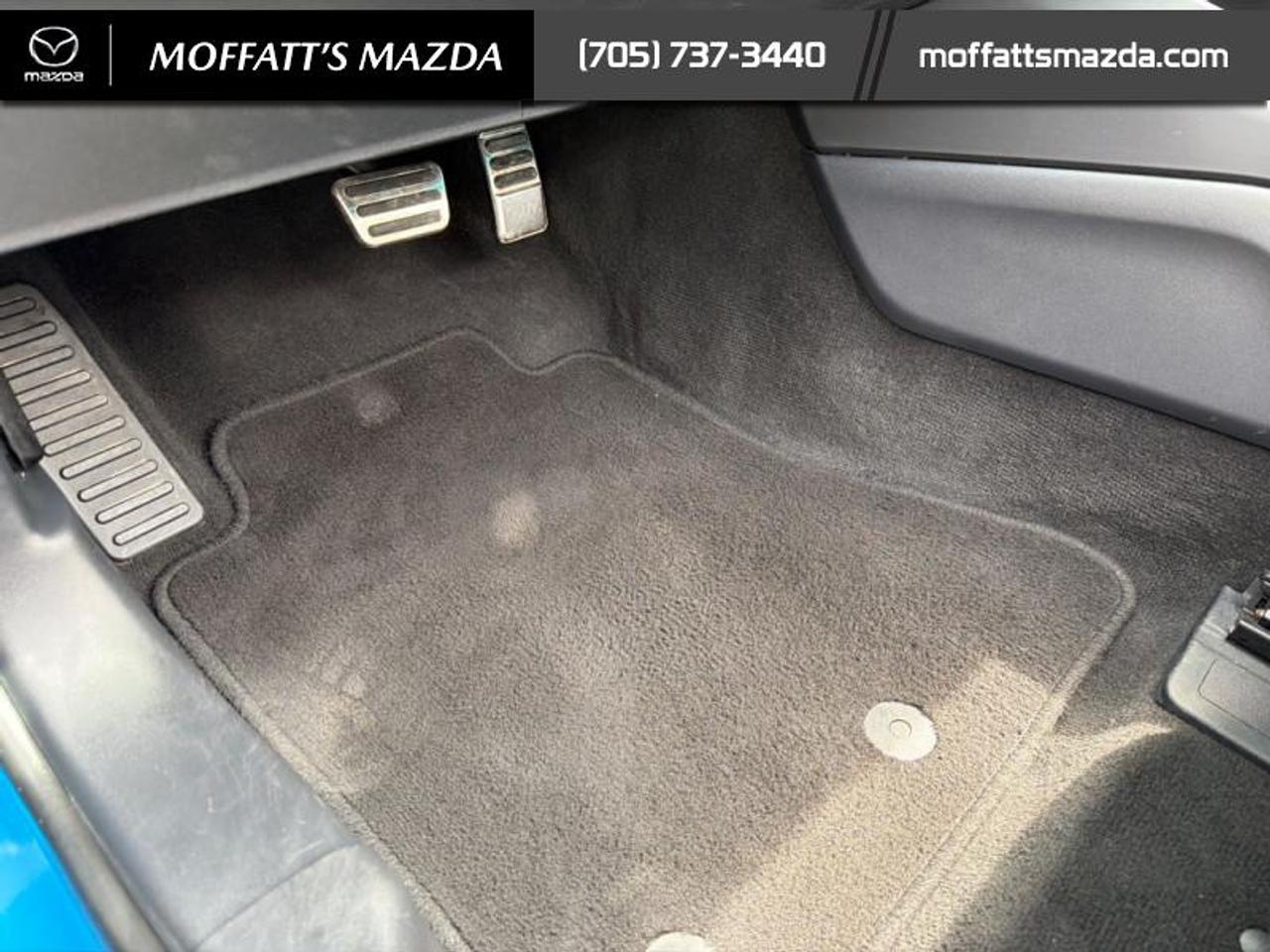 2025 Ford Mustang EcoBoost Photo