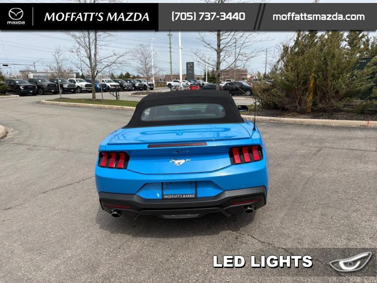 2025 Ford Mustang EcoBoost Photo