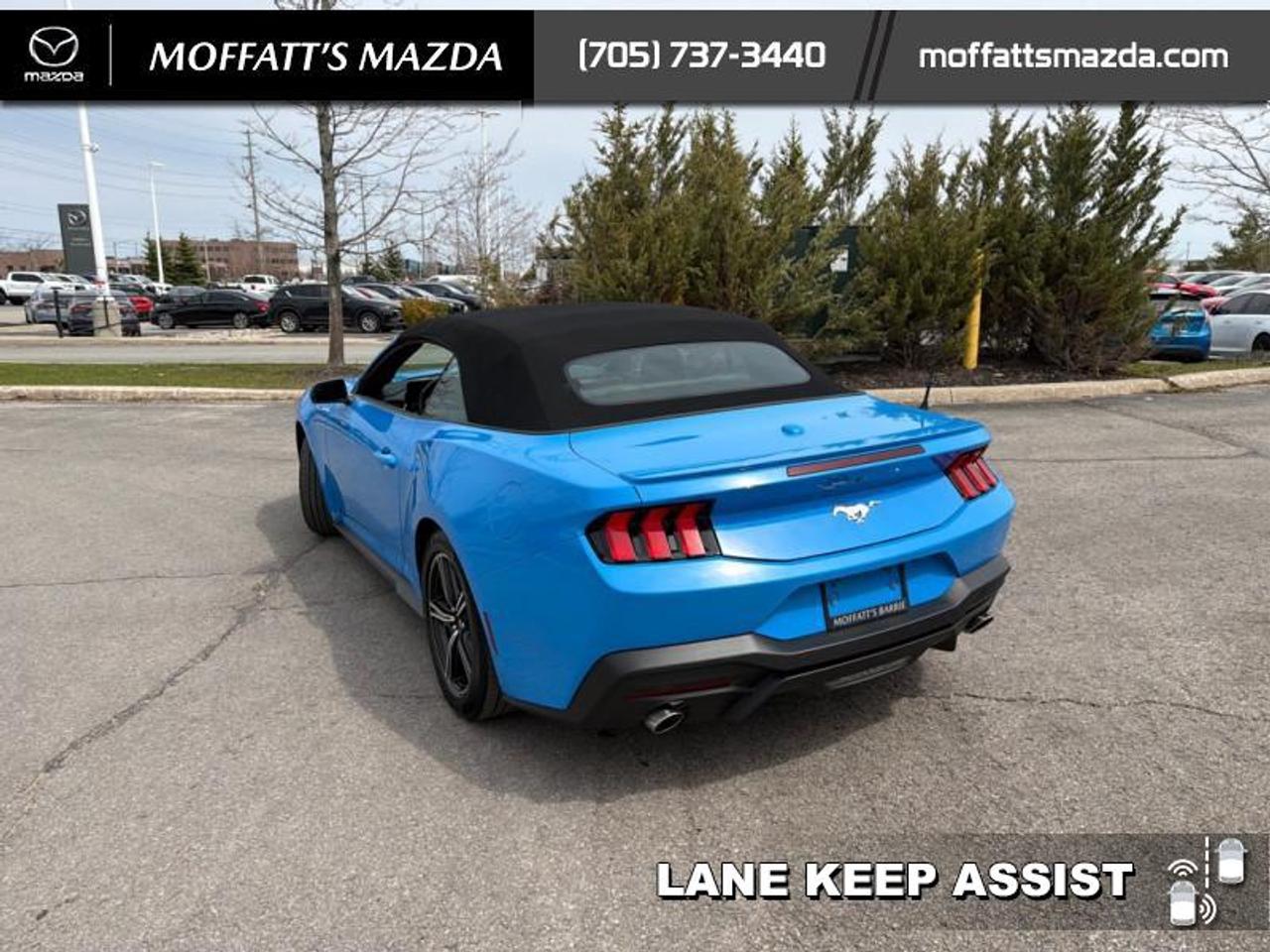 2025 Ford Mustang EcoBoost Photo