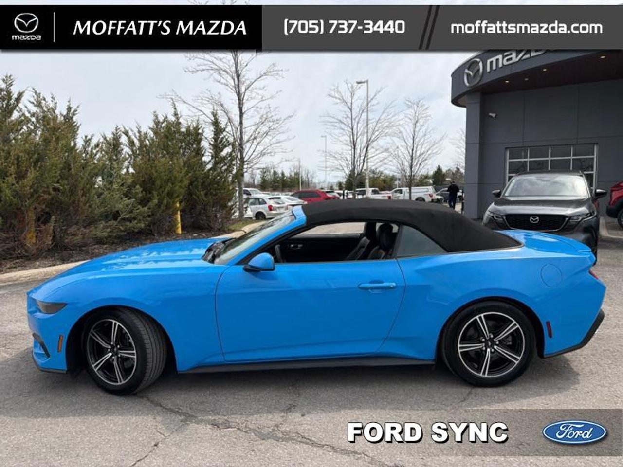 2025 Ford Mustang EcoBoost Photo2