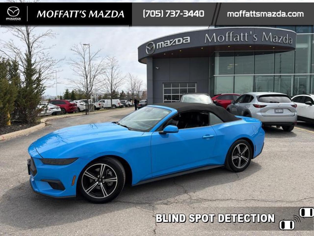 2025 Ford Mustang EcoBoost Photo