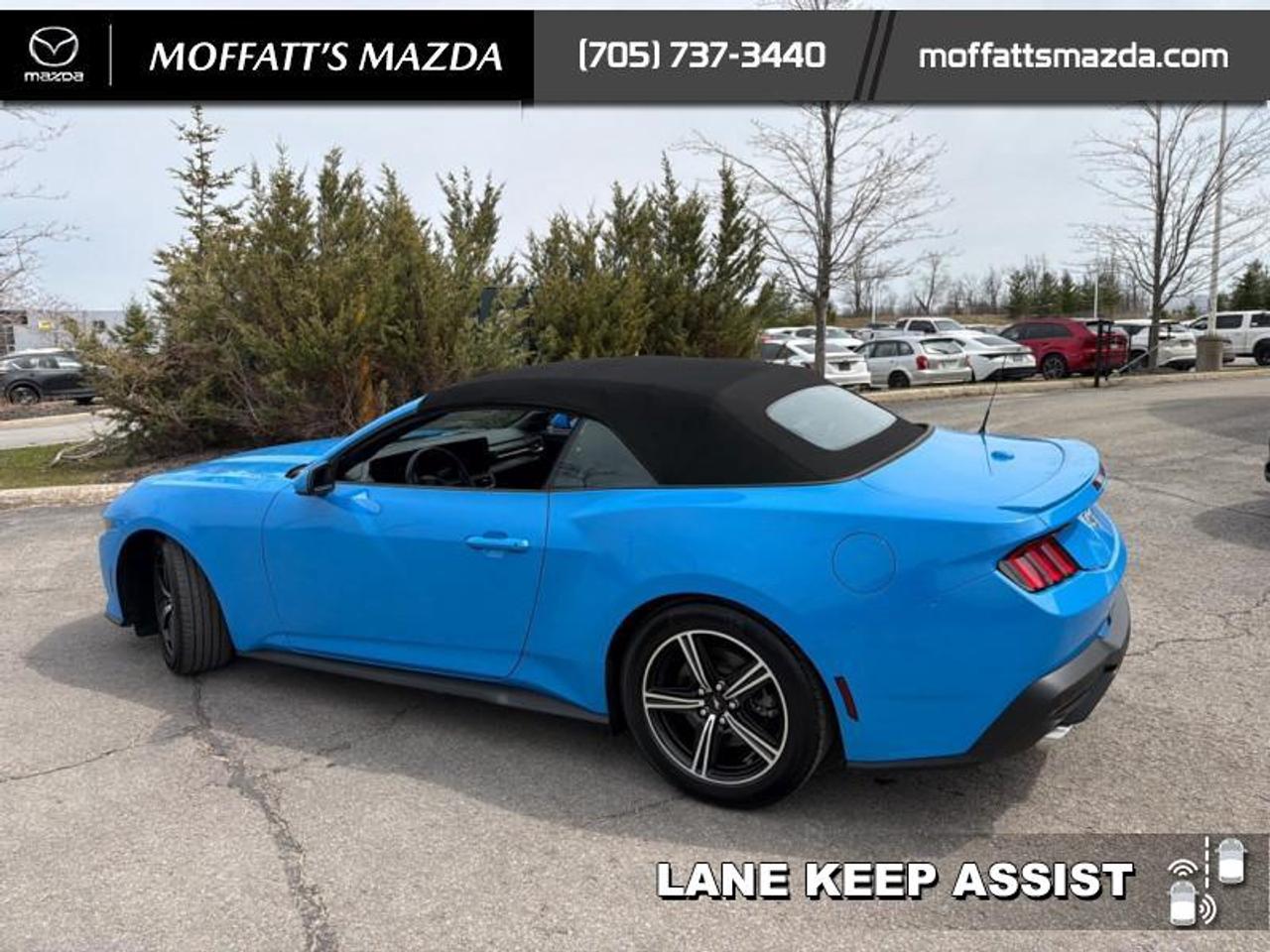 2025 Ford Mustang EcoBoost Photo3