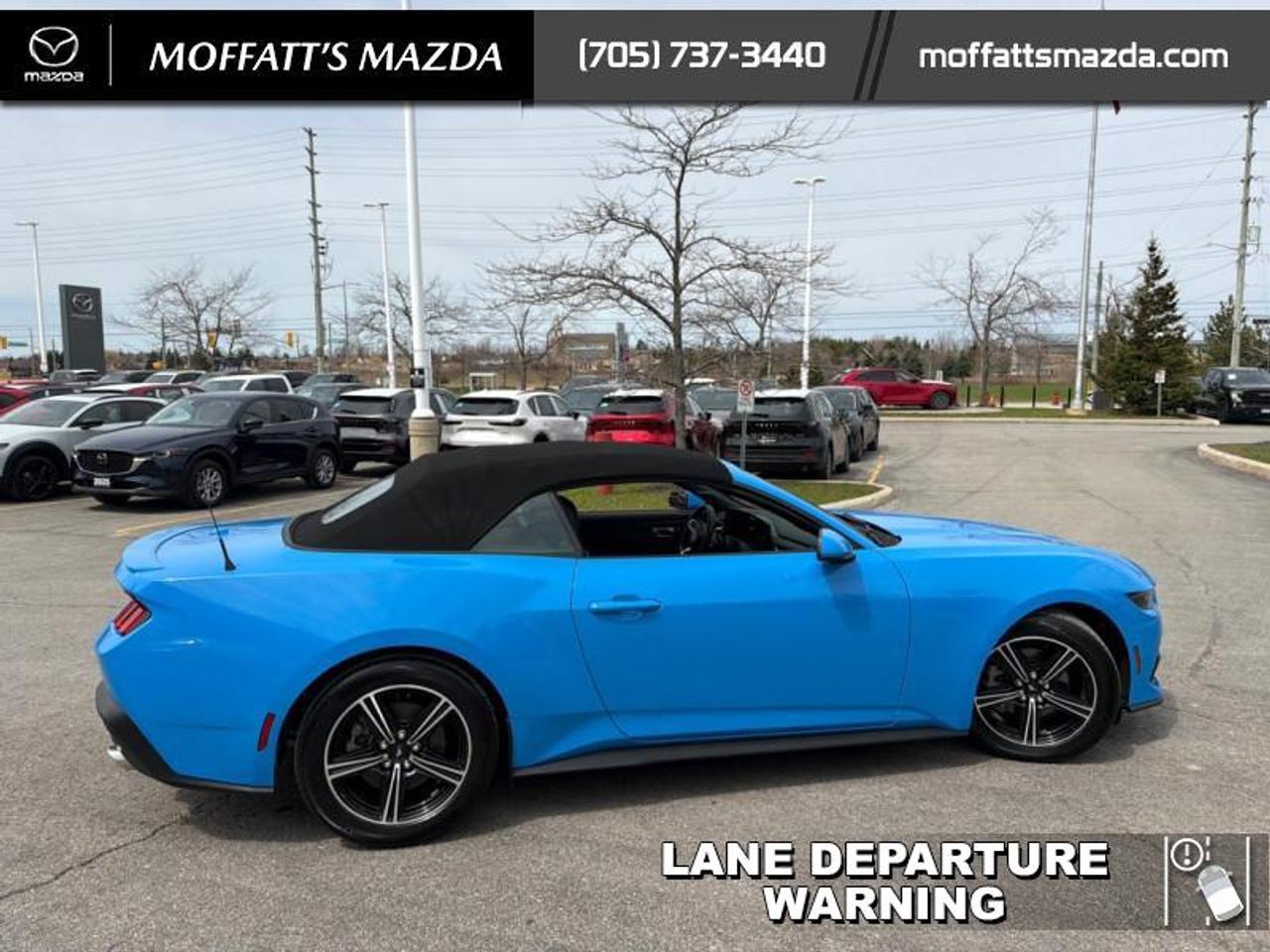 2025 Ford Mustang EcoBoost Photo