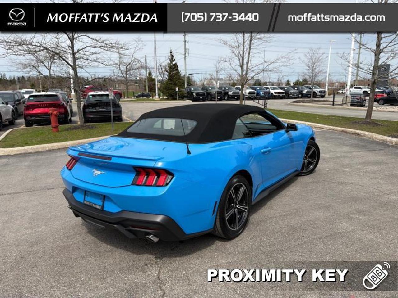 2025 Ford Mustang EcoBoost Photo