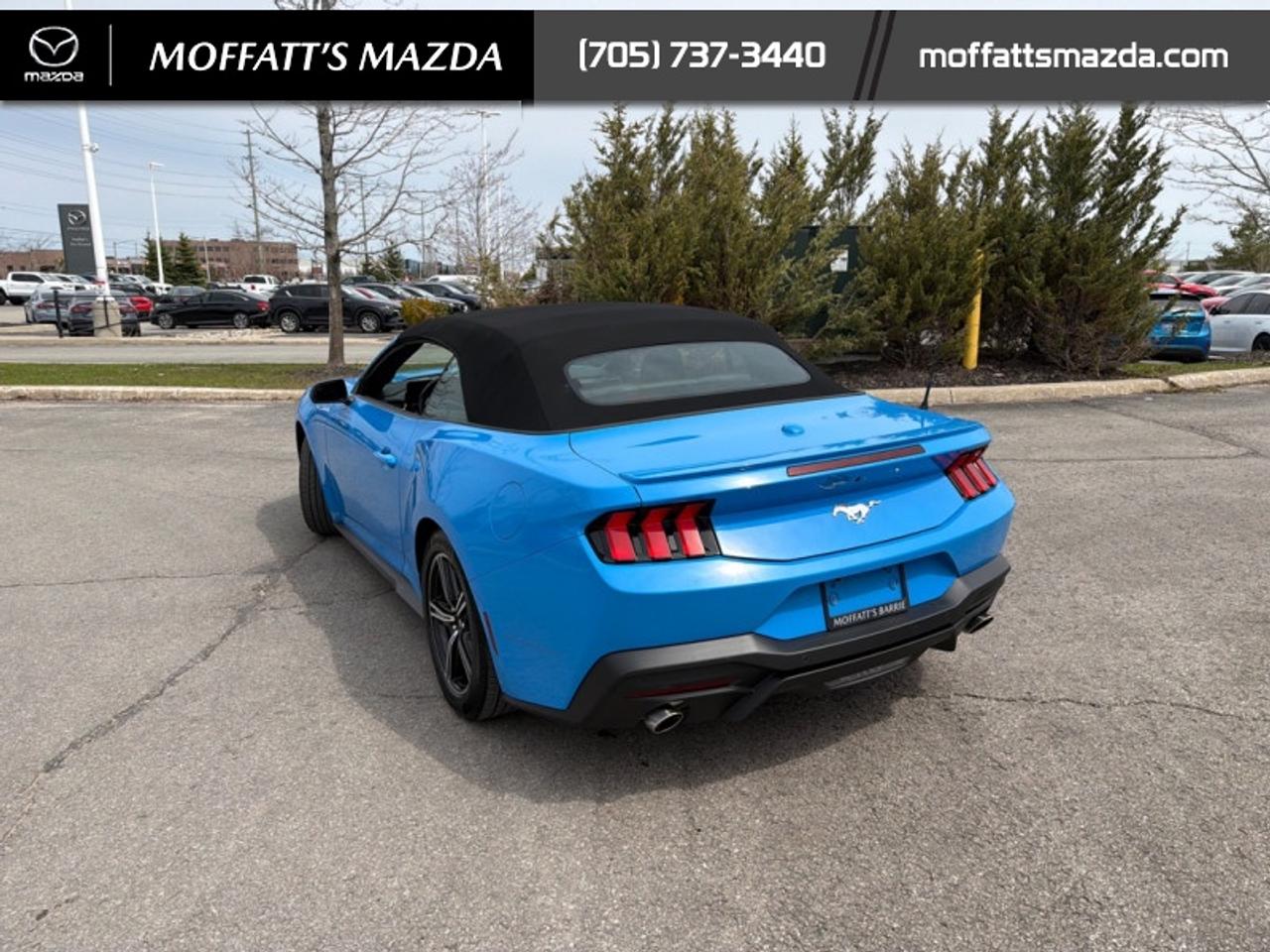 2025 Ford Mustang EcoBoost Photo