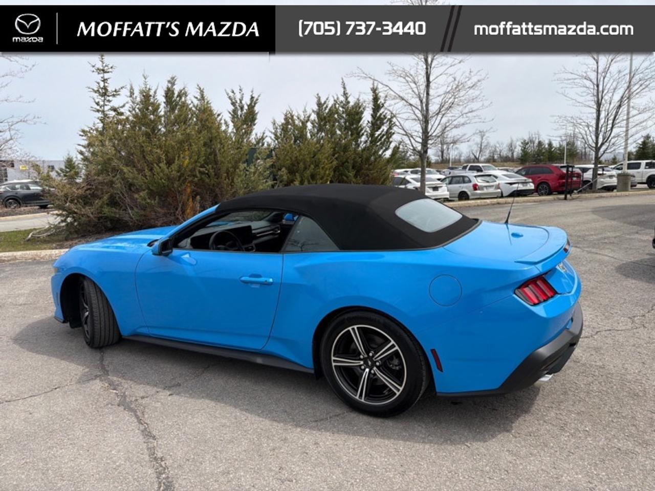 2025 Ford Mustang EcoBoost Photo