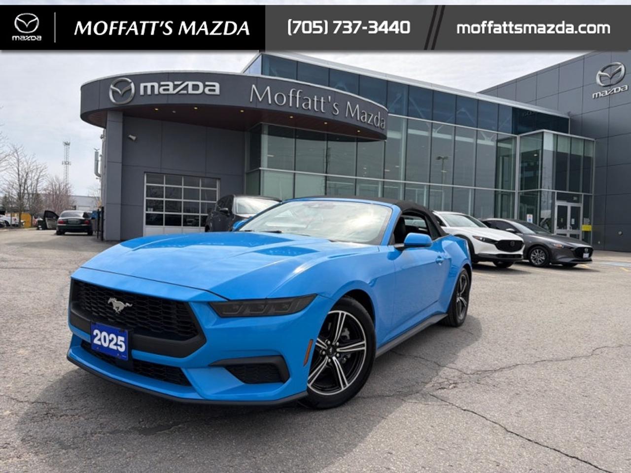 2025 Ford Mustang EcoBoost Photo