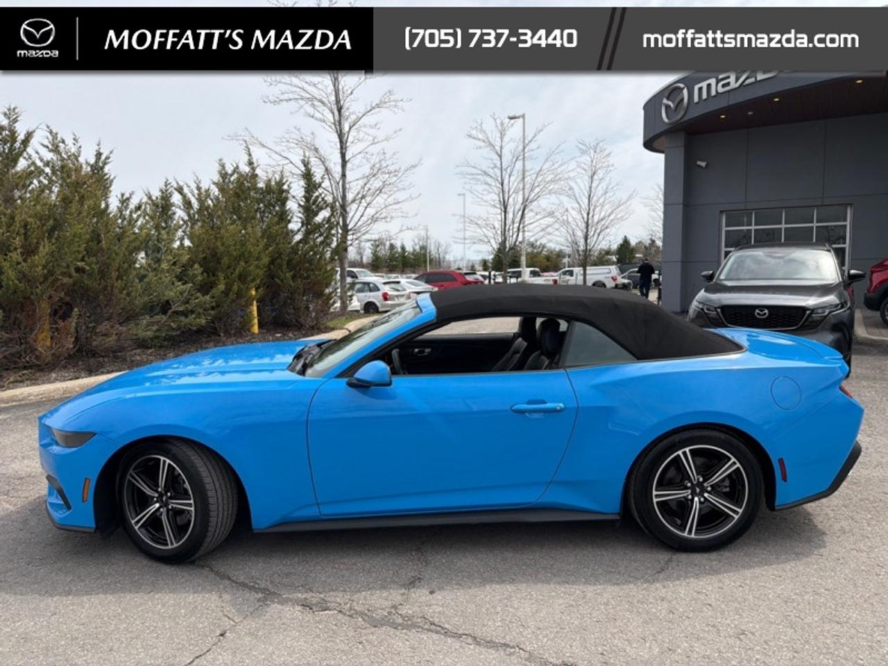 2025 Ford Mustang EcoBoost Photo