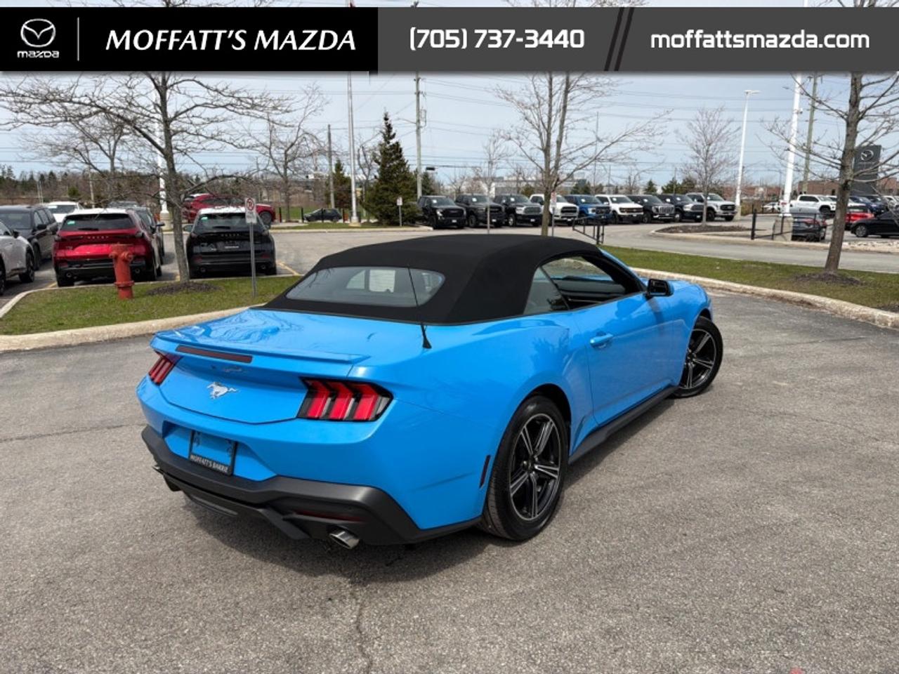 2025 Ford Mustang EcoBoost Photo