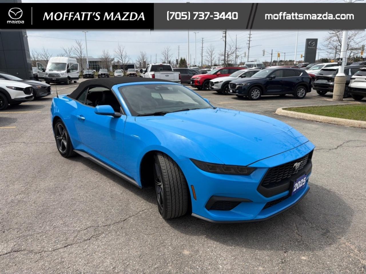 2025 Ford Mustang EcoBoost Photo