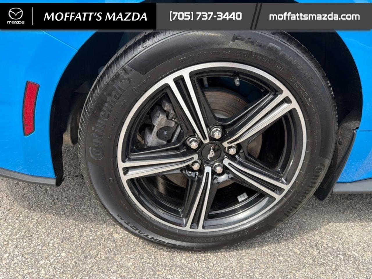 2025 Ford Mustang EcoBoost Photo