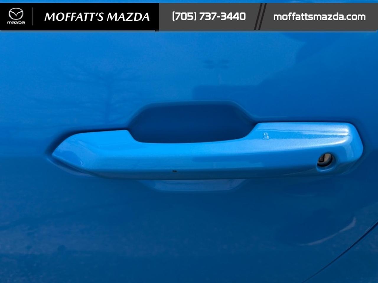 2025 Ford Mustang EcoBoost Photo