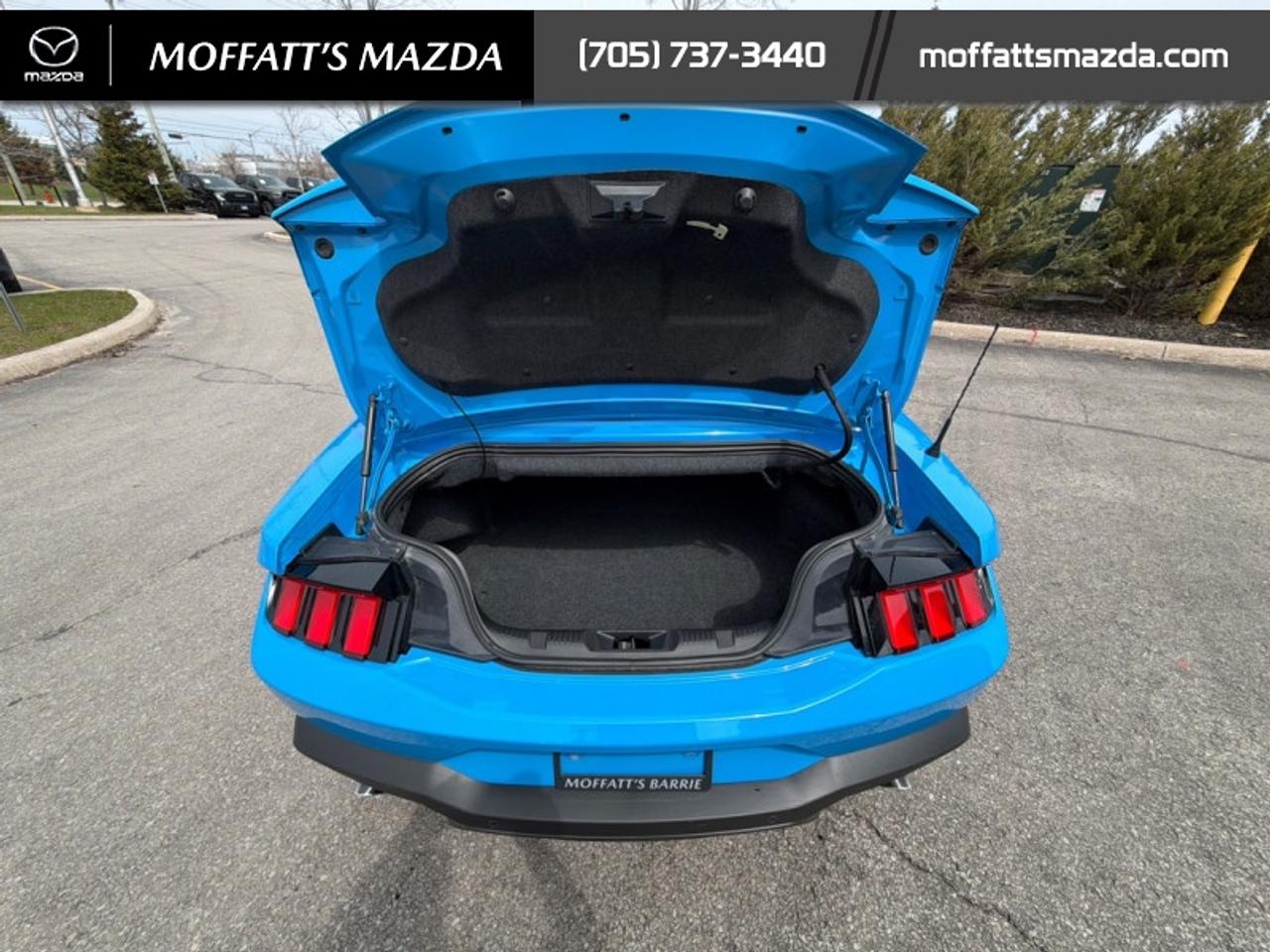 2025 Ford Mustang EcoBoost Photo