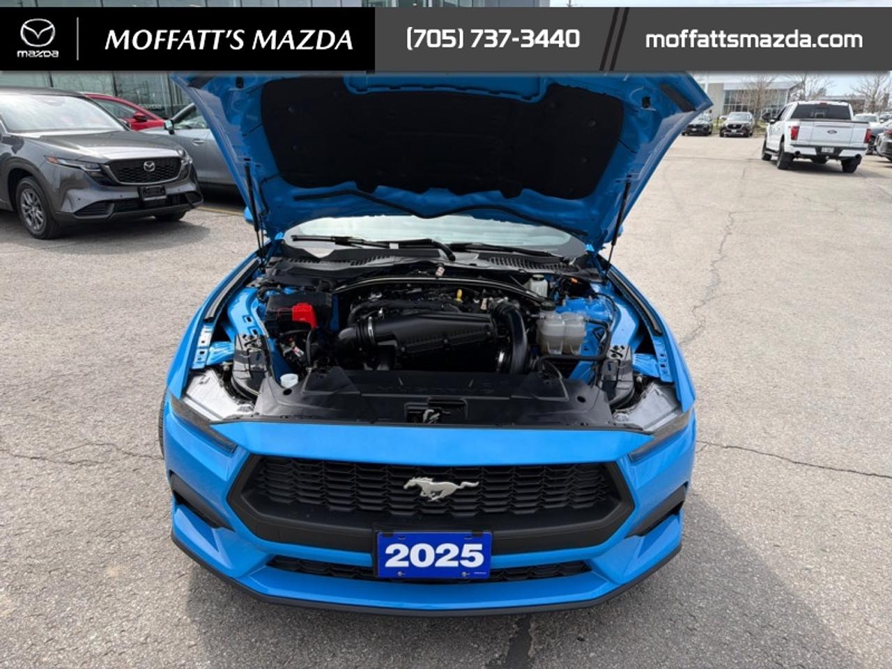 2025 Ford Mustang EcoBoost Photo