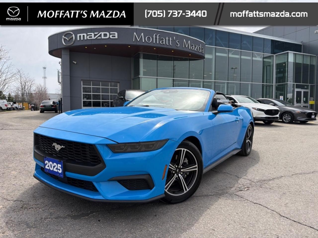 2025 Ford Mustang EcoBoost Photo
