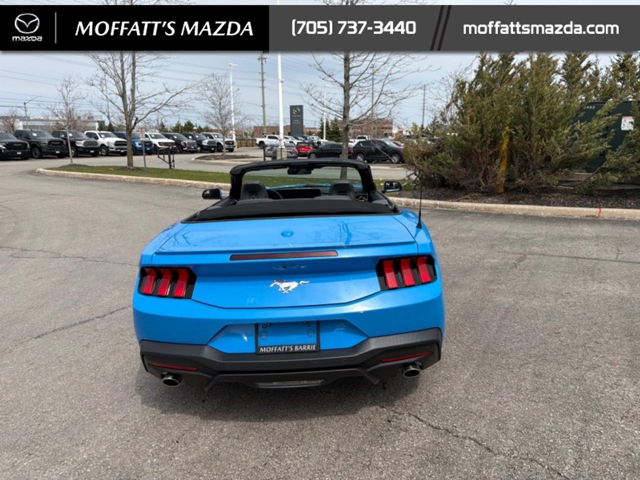 2025 Ford Mustang EcoBoost Photo