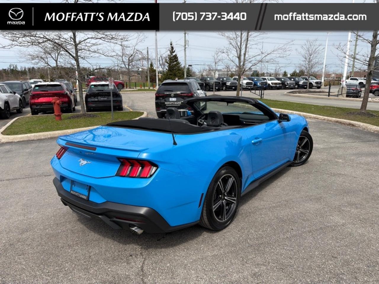 2025 Ford Mustang EcoBoost Photo