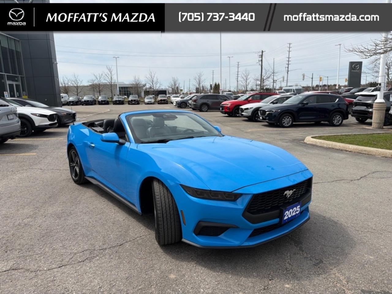 2025 Ford Mustang EcoBoost Photo