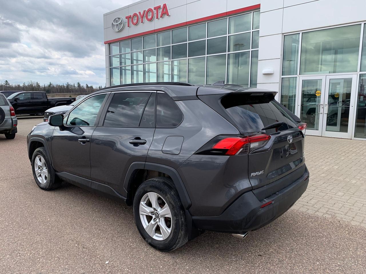 2020 Toyota RAV4 XLE Photo