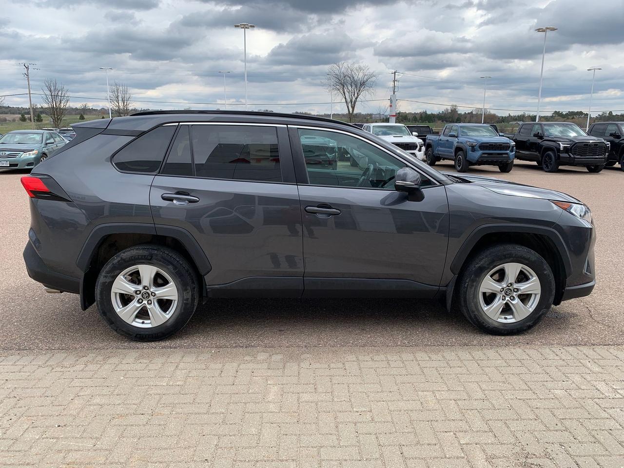 2020 Toyota RAV4 XLE Photo