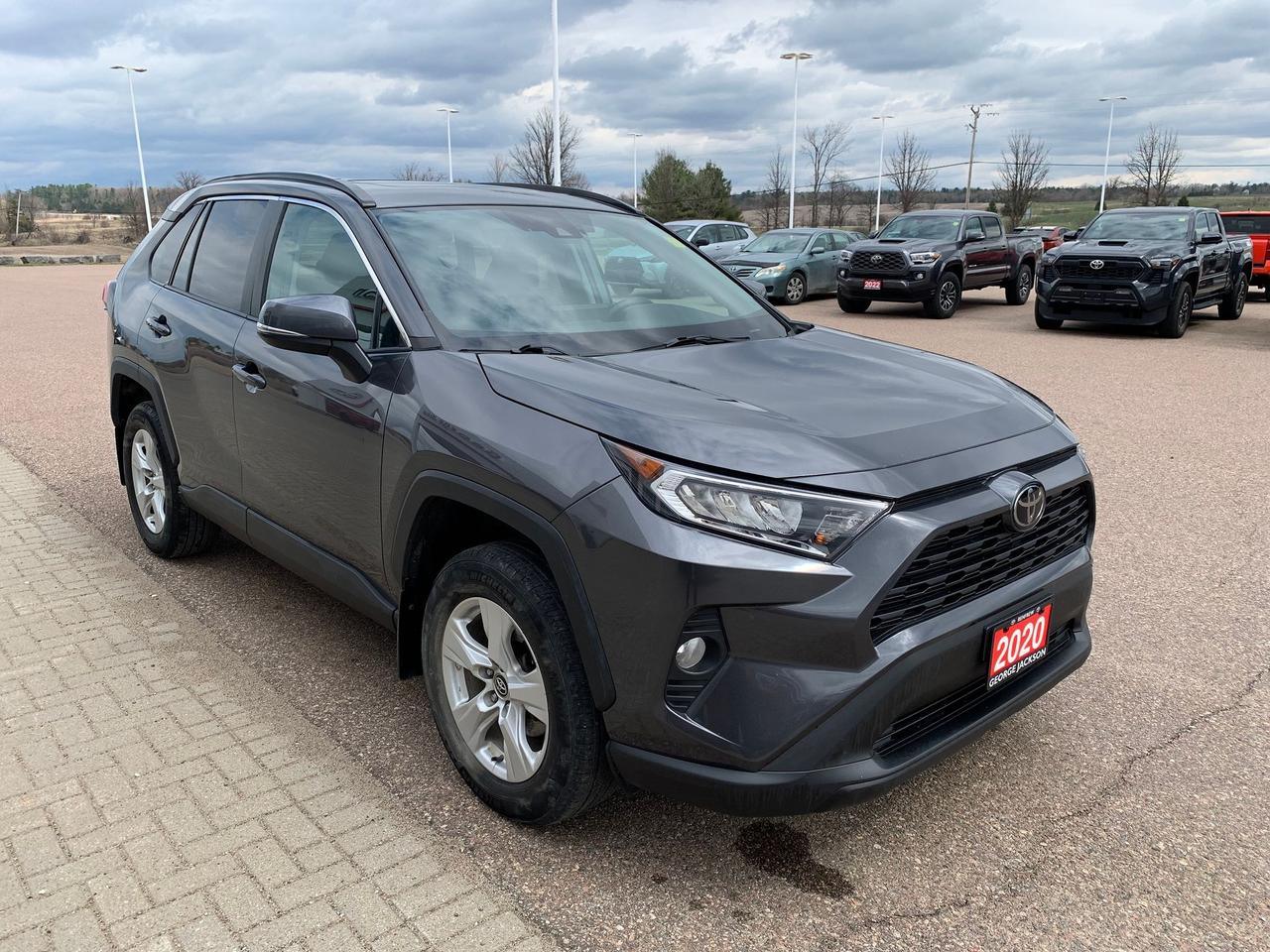 2020 Toyota RAV4 XLE Photo