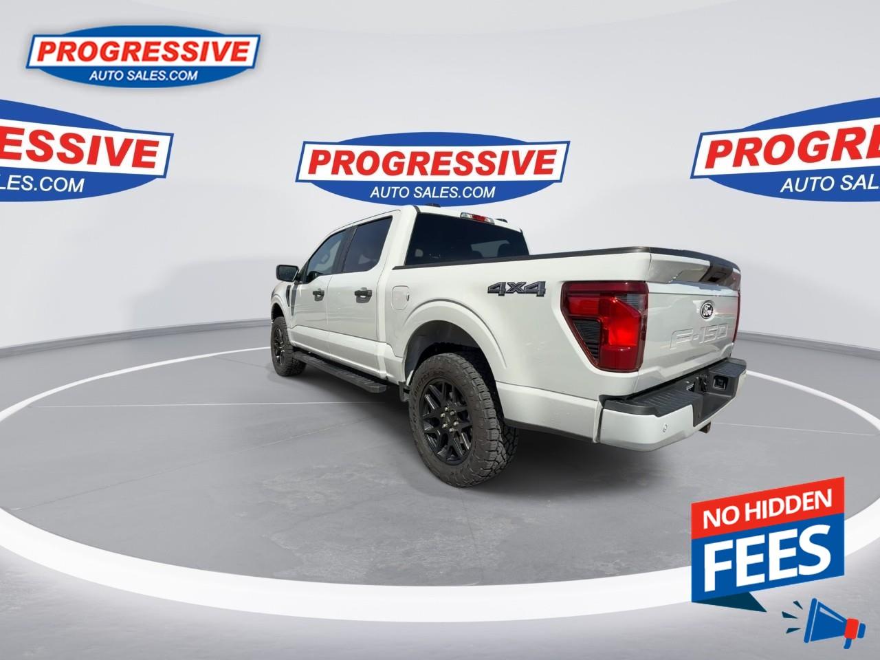 2024 Ford F-150 STX Photo