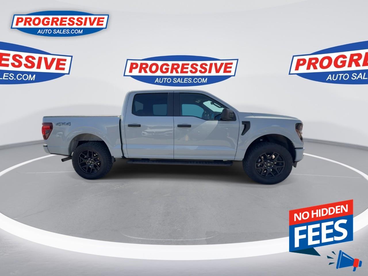 2024 Ford F-150 STX Photo