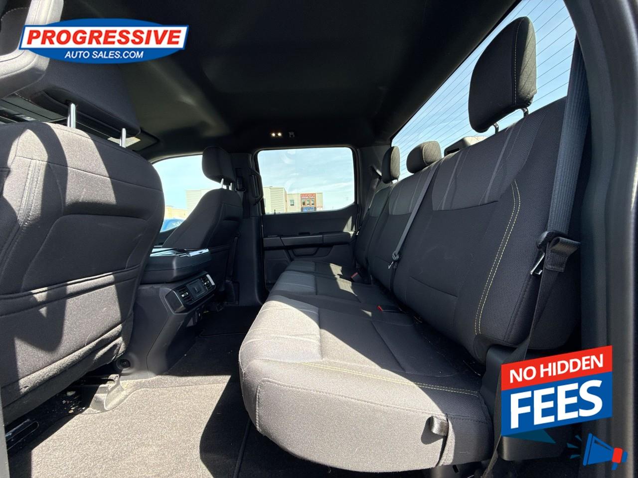 2024 Ford F-150 STX Photo