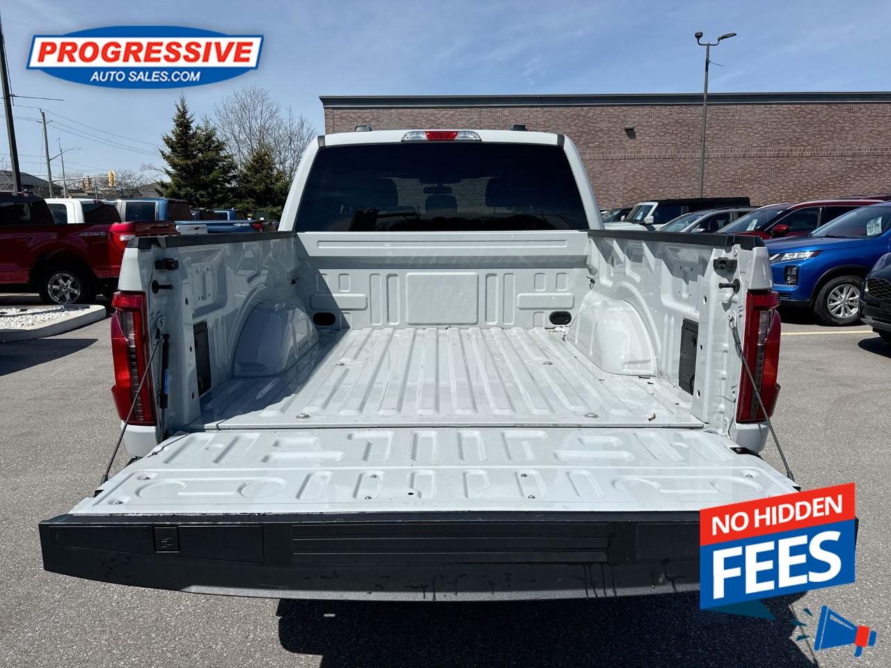 2024 Ford F-150 STX Photo