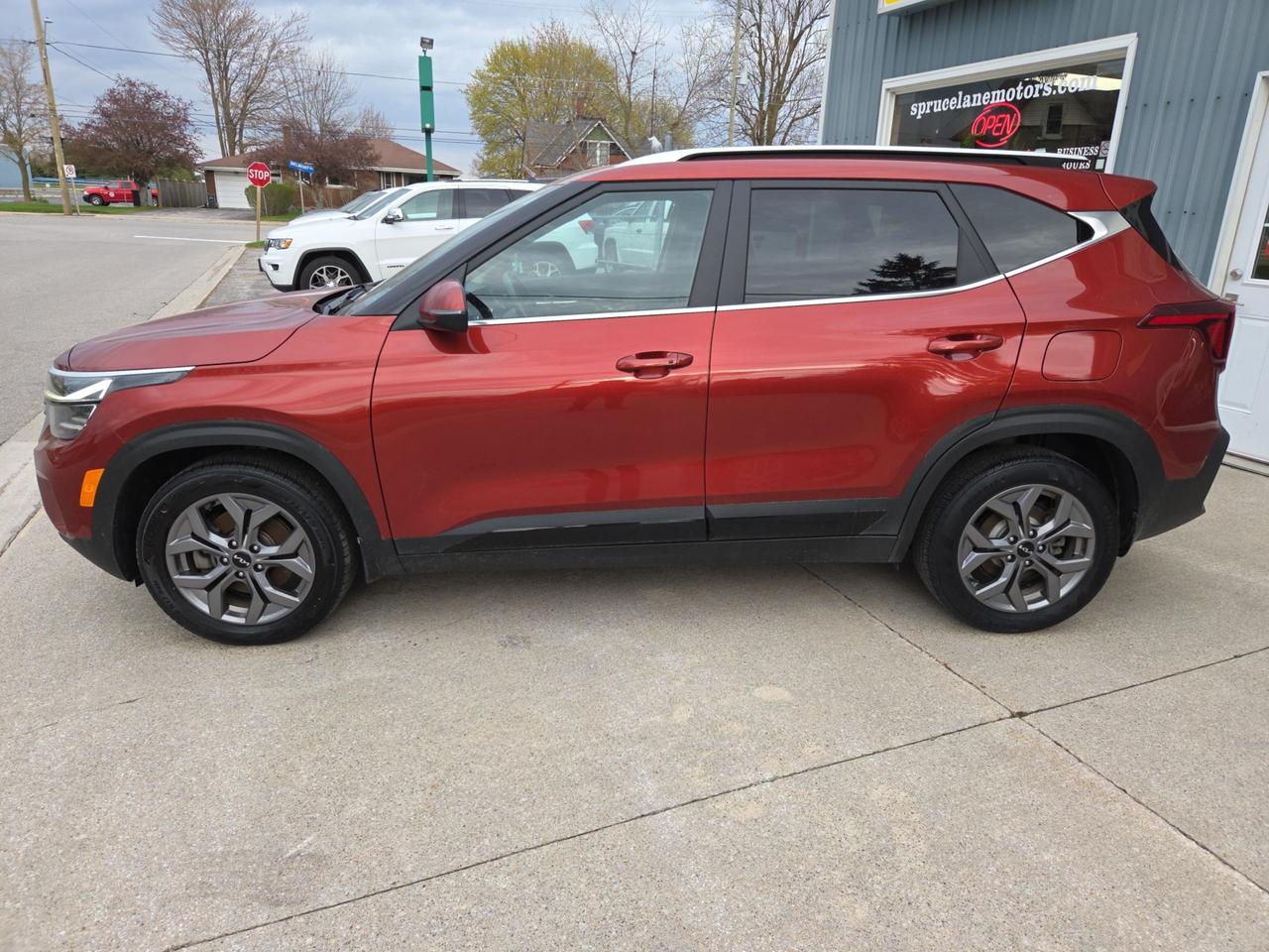 2024 Kia Seltos EX Photo