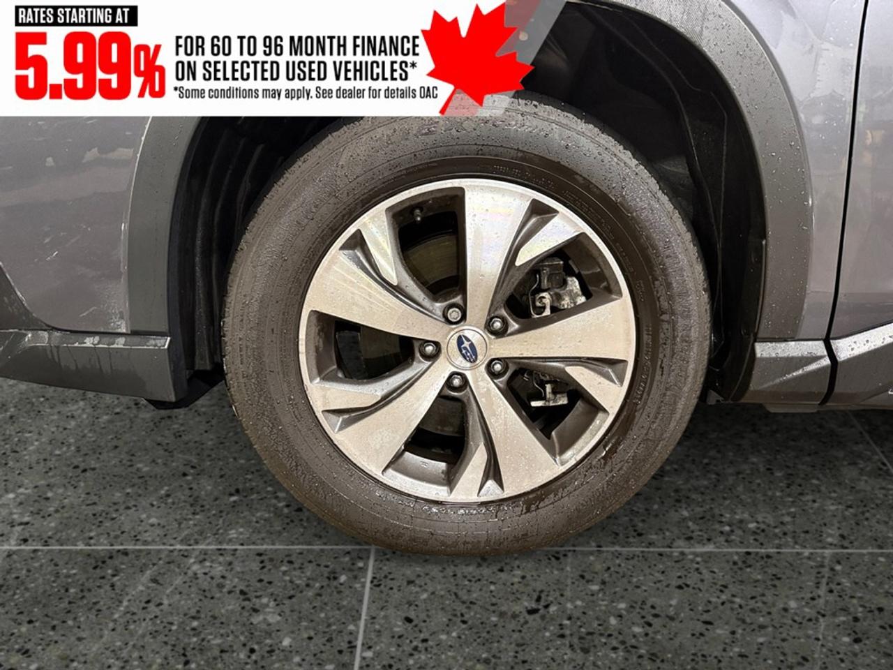2024 Subaru ASCENT Touring 8-Passenger Photo