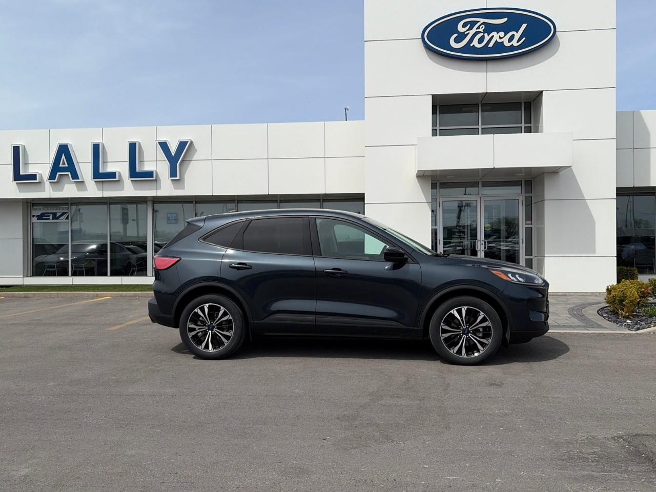 2022 Ford Escape SE AWD Photo