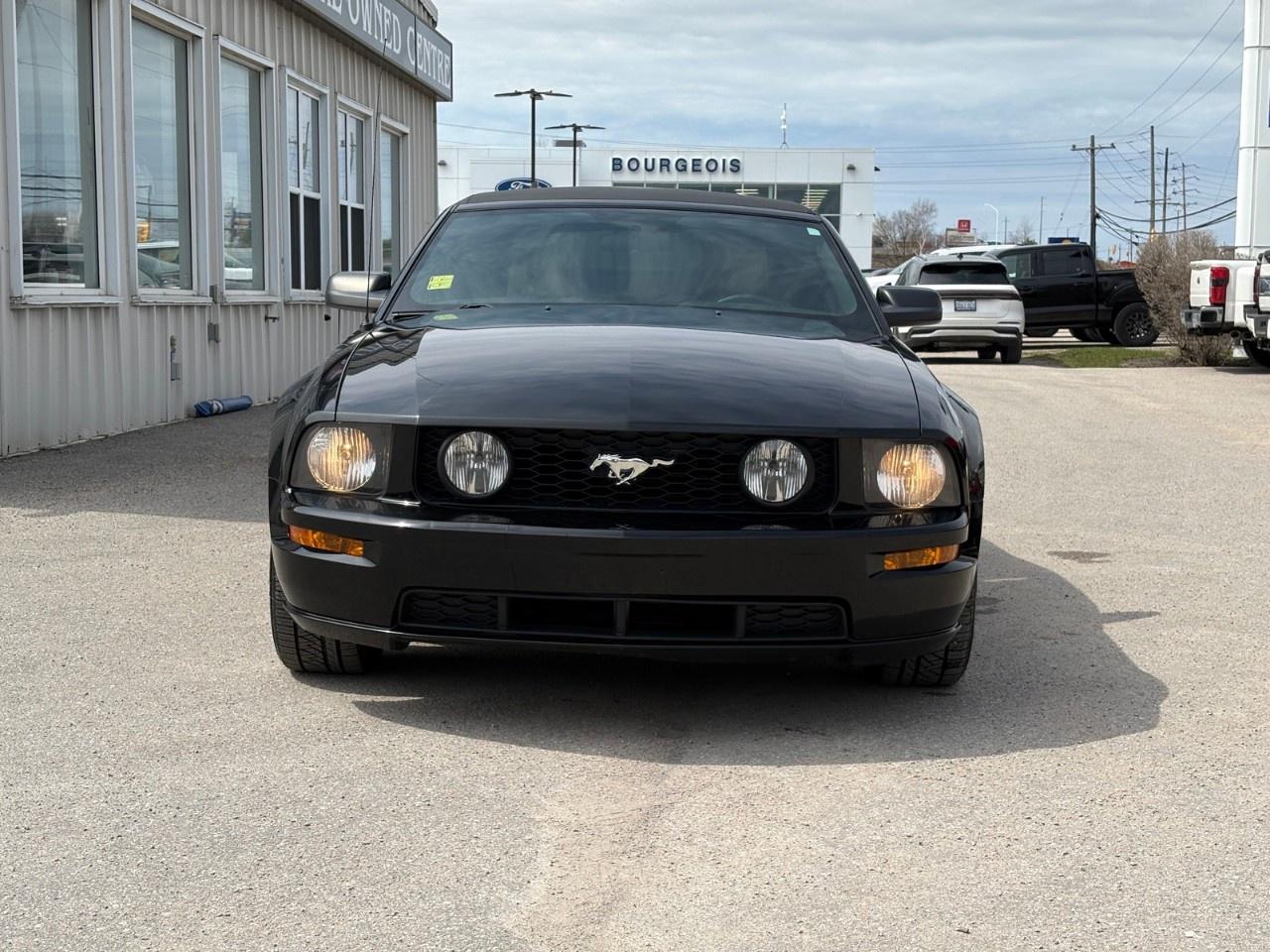 2007 Ford Mustang 2dr Conv GT Photo2