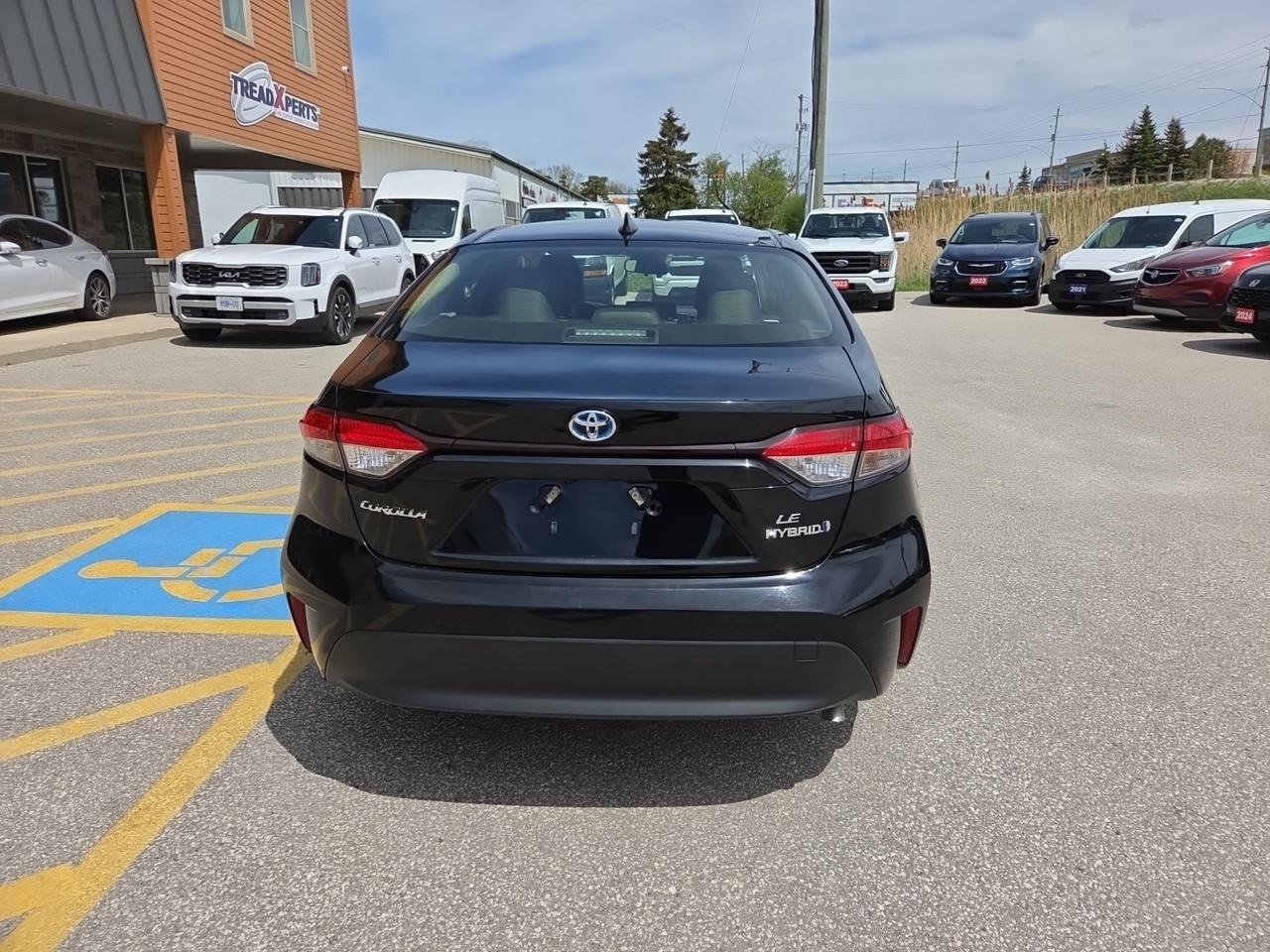2024 Toyota Corolla Hybrid LE Photo