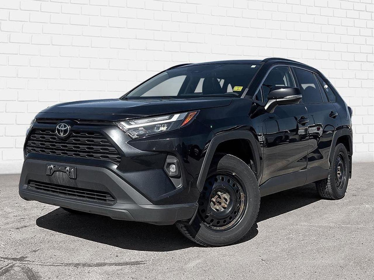 2023 Toyota RAV4 XLE | | Sunroof | Photo