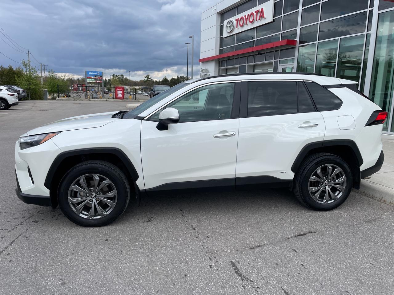 2022 Toyota RAV4 Hybrid Limited Photo2