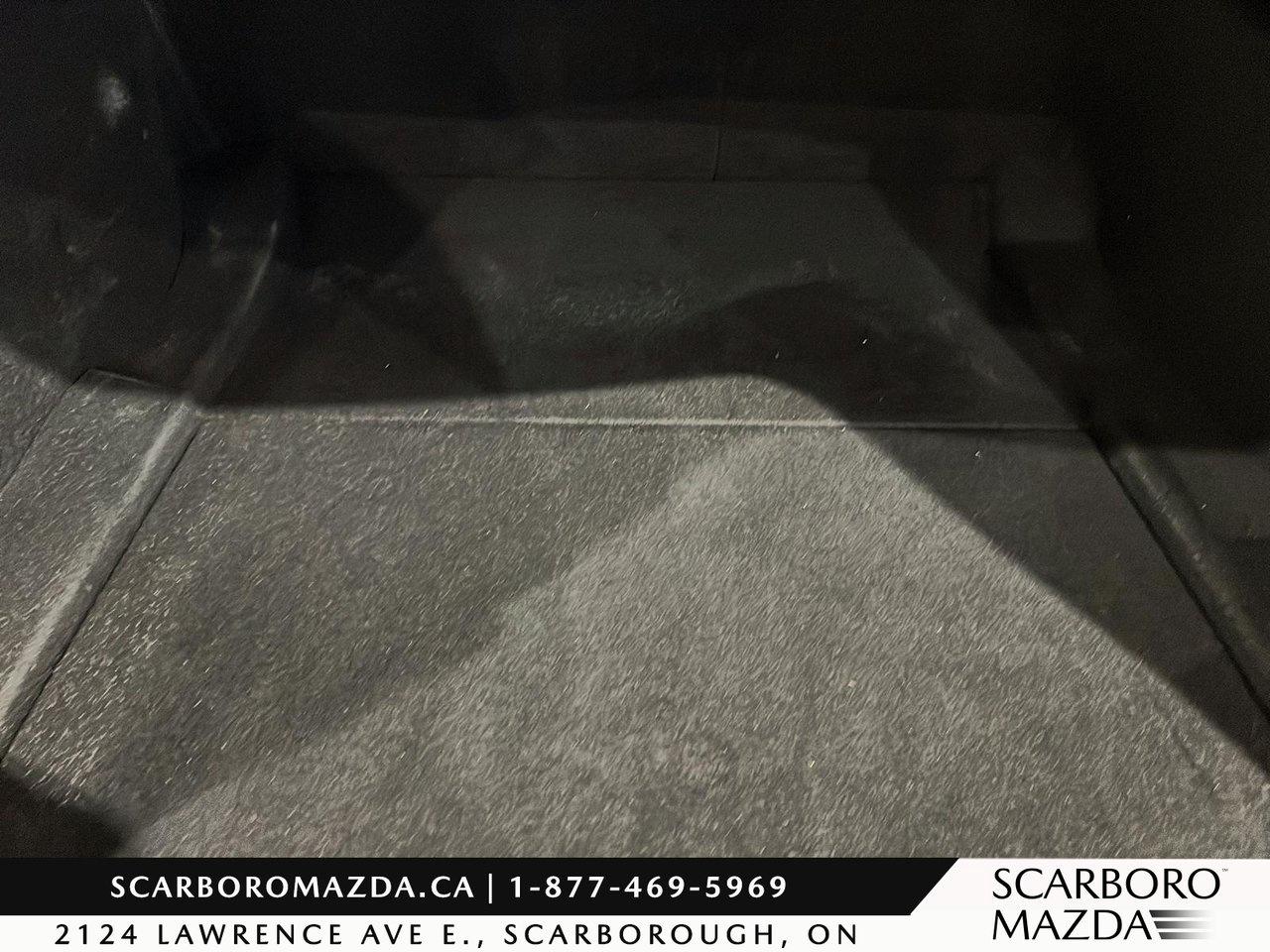 2021 Tesla Model 3 Performance Photo