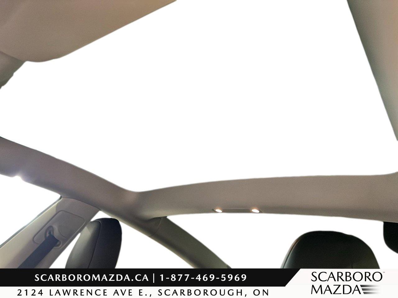 2021 Tesla Model 3 Performance Photo