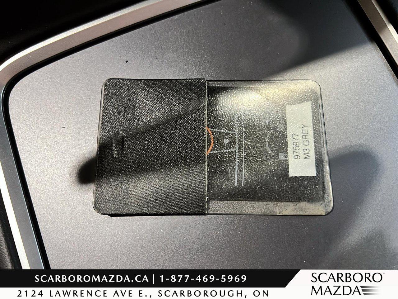 2021 Tesla Model 3 Performance Photo