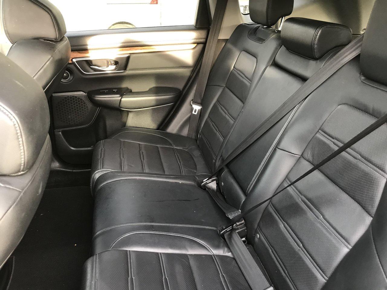 2021 Honda CR-V EX-L Pkg.   Clean Carfax   No Accidents Photo