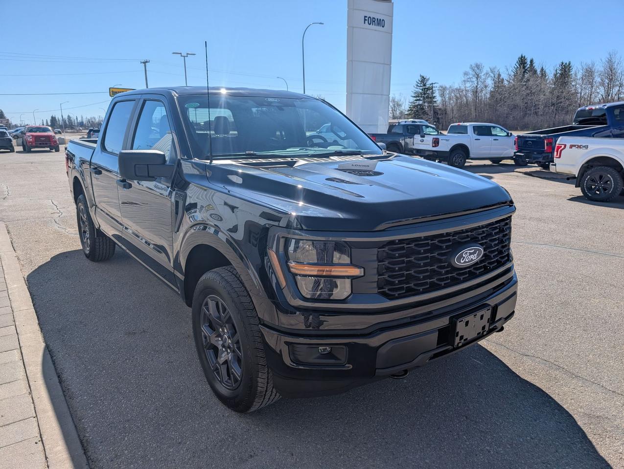 2026 Ford F-150 STX Photo3