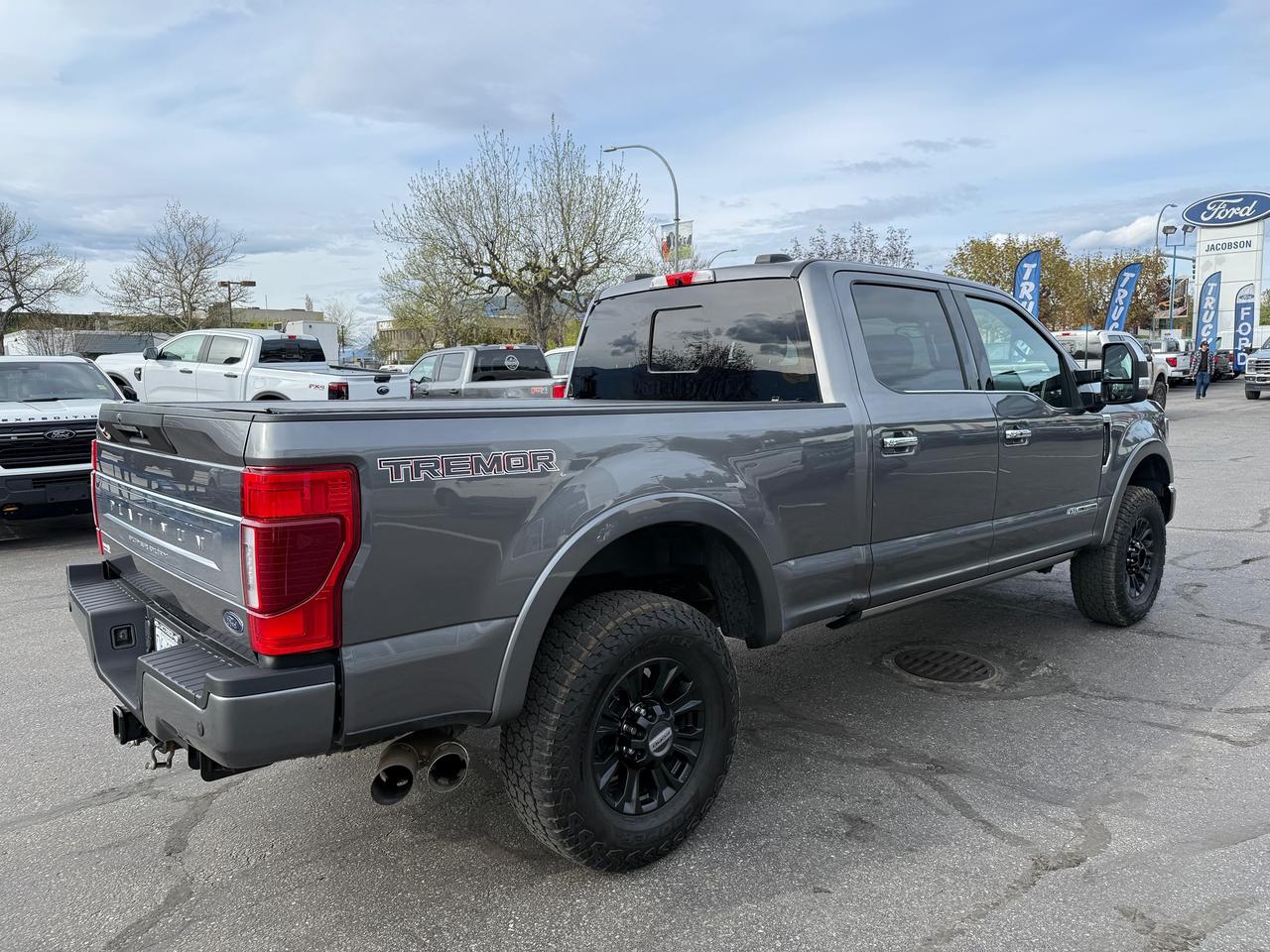2021 Ford F-350 Super Duty SRW Platinum Photo4