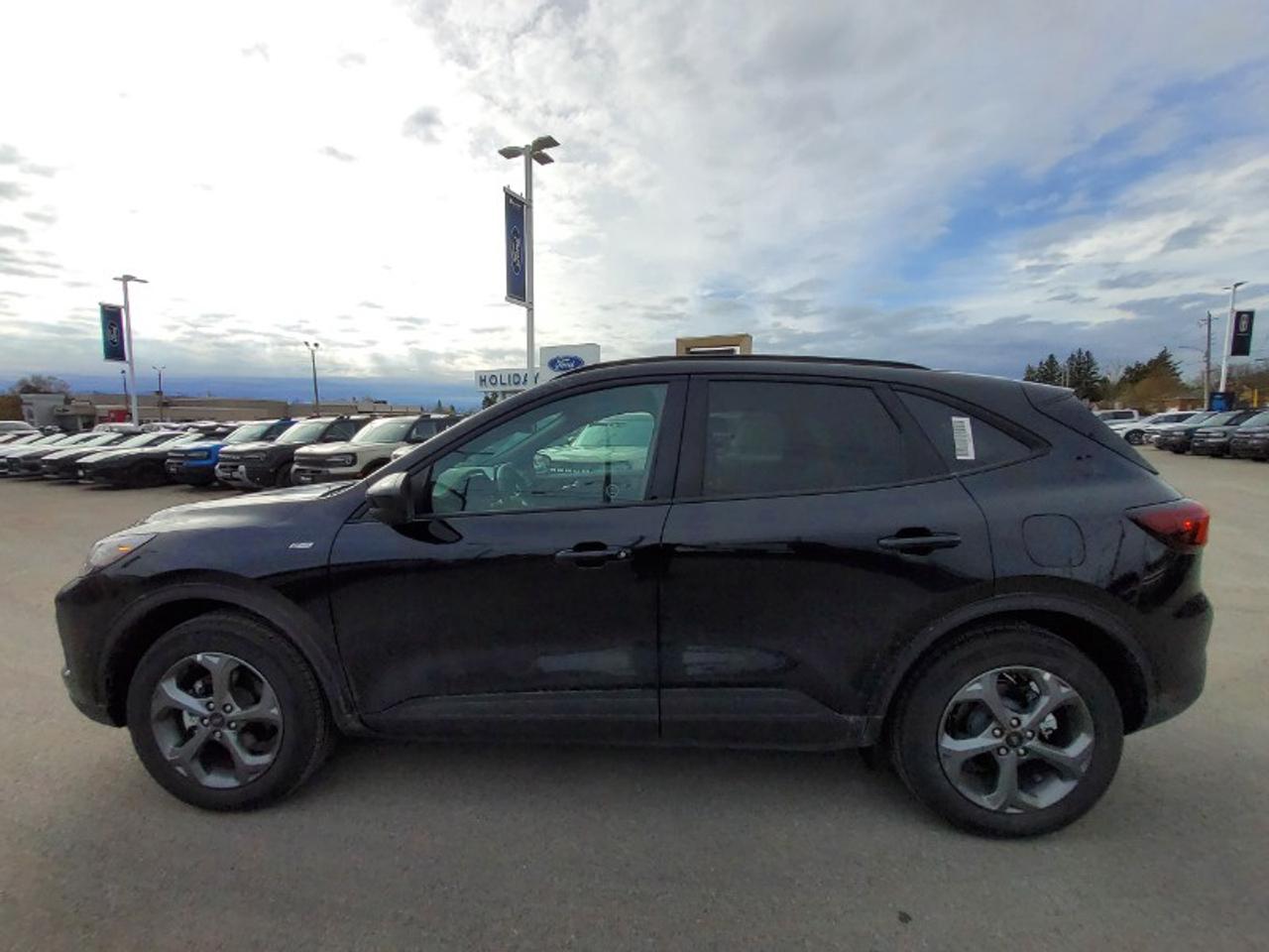 2026 Ford Escape ST-Line Select Photo