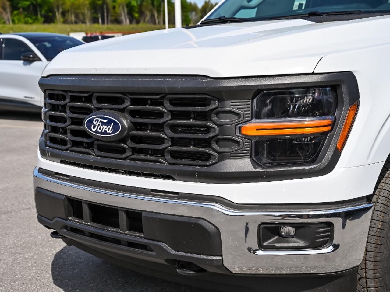 2026 Ford F-150 XL Photo