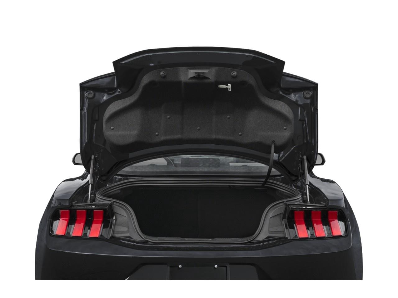 2026 Ford Mustang EcoBoost Premium Fastback Photo