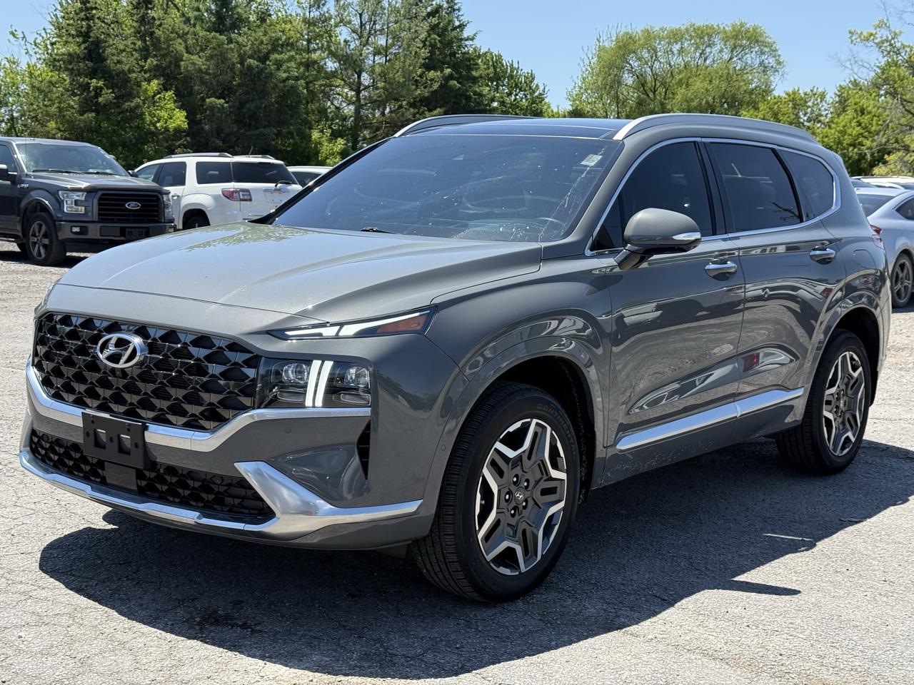 2021 Hyundai Santa Fe Ultimate Calligraphy Photo