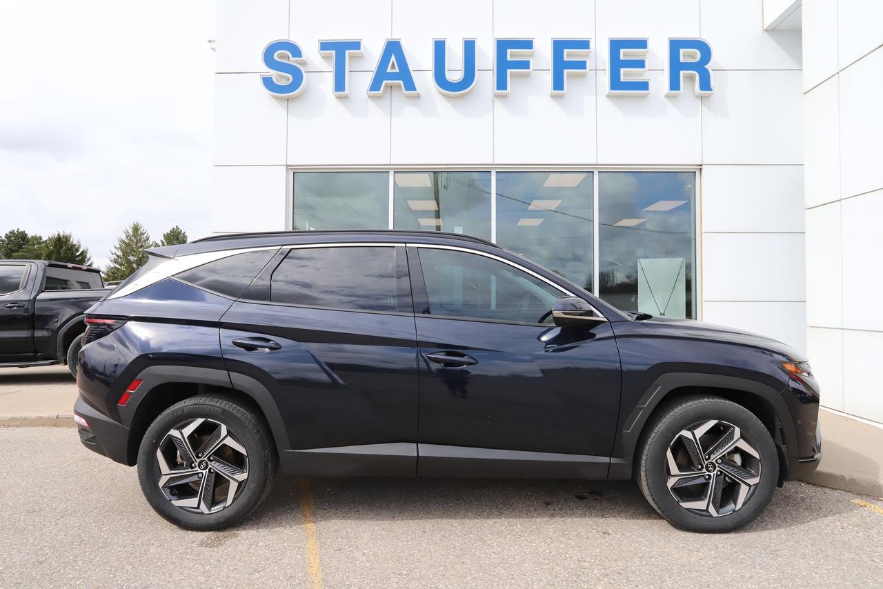 2023 Hyundai Tucson Hybrid Ultimate AWD Photo