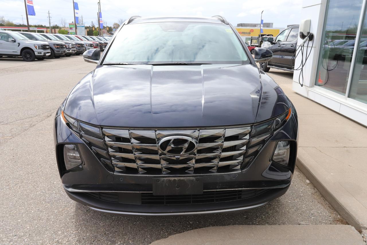 2023 Hyundai Tucson Hybrid Ultimate AWD Photo