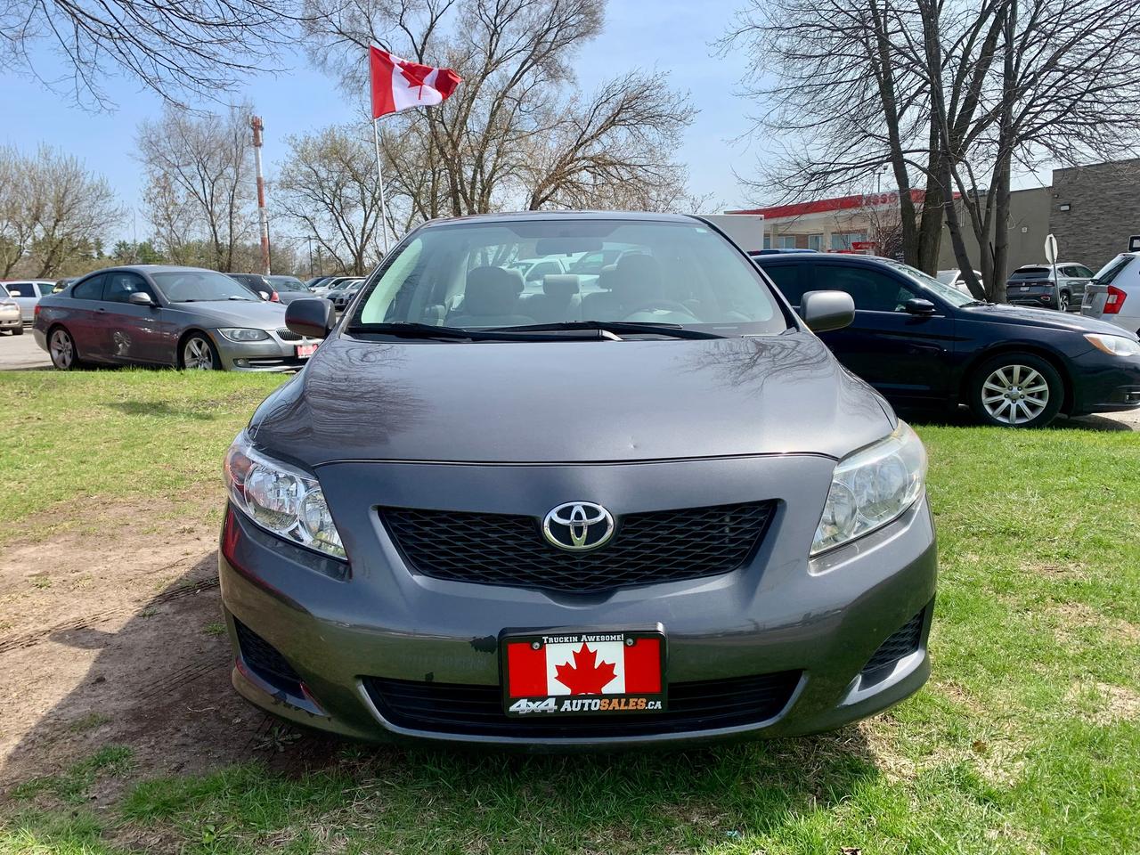 2010 Toyota Corolla CE Photo