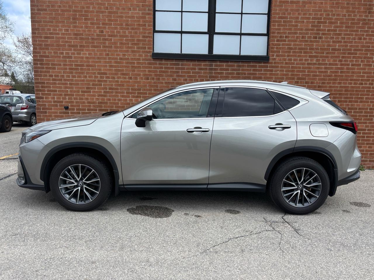 2025 Lexus NX NX 350 AWD Photo